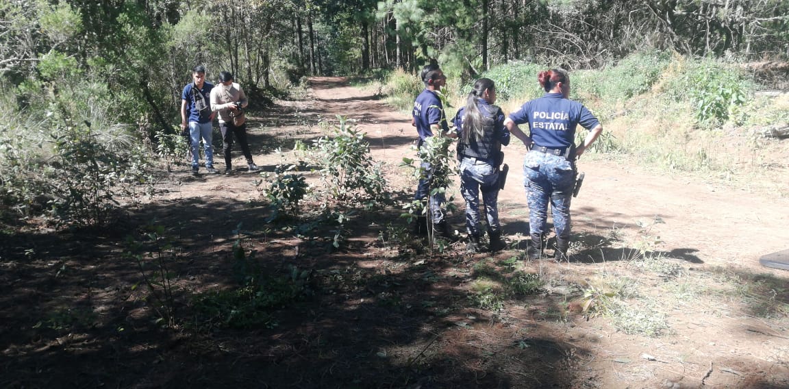 Huachicoleros se enfrentan a policías en Singuilucan – La Jornada Hidalgo